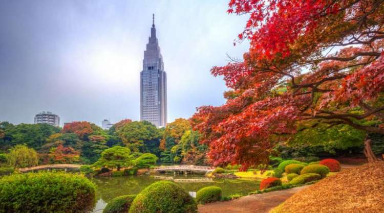 Il parco Shinjuku di Tokyo